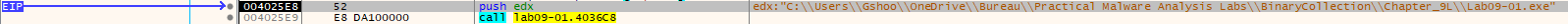 executable_path